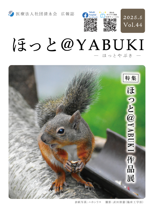 hot@yabuki_44