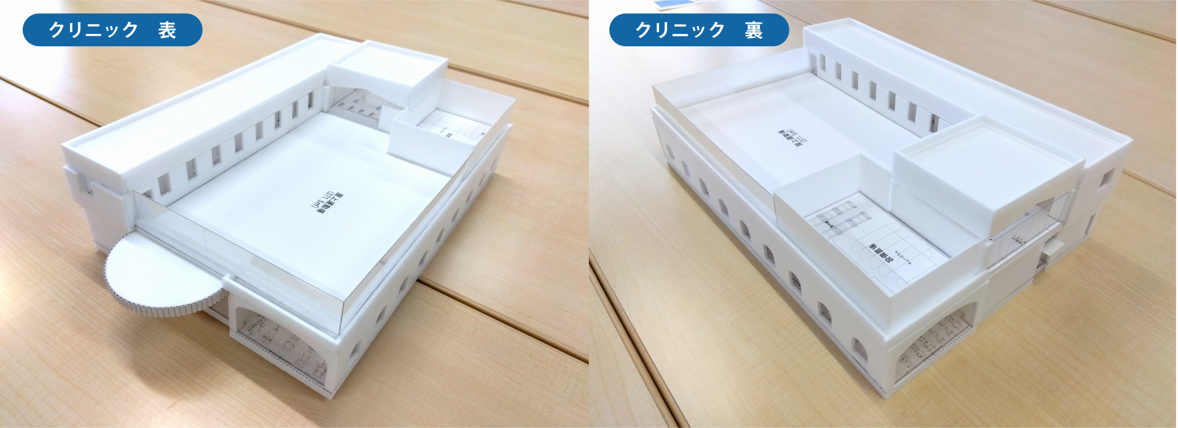 スポーツクリニック模型